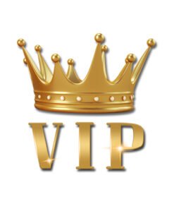 👑VIP