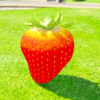 Strawberry GTA 5 Props