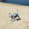 Vintage Robodog GTA 5 Mods