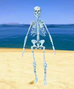 Skelton Daimond GTA 5 Mods World