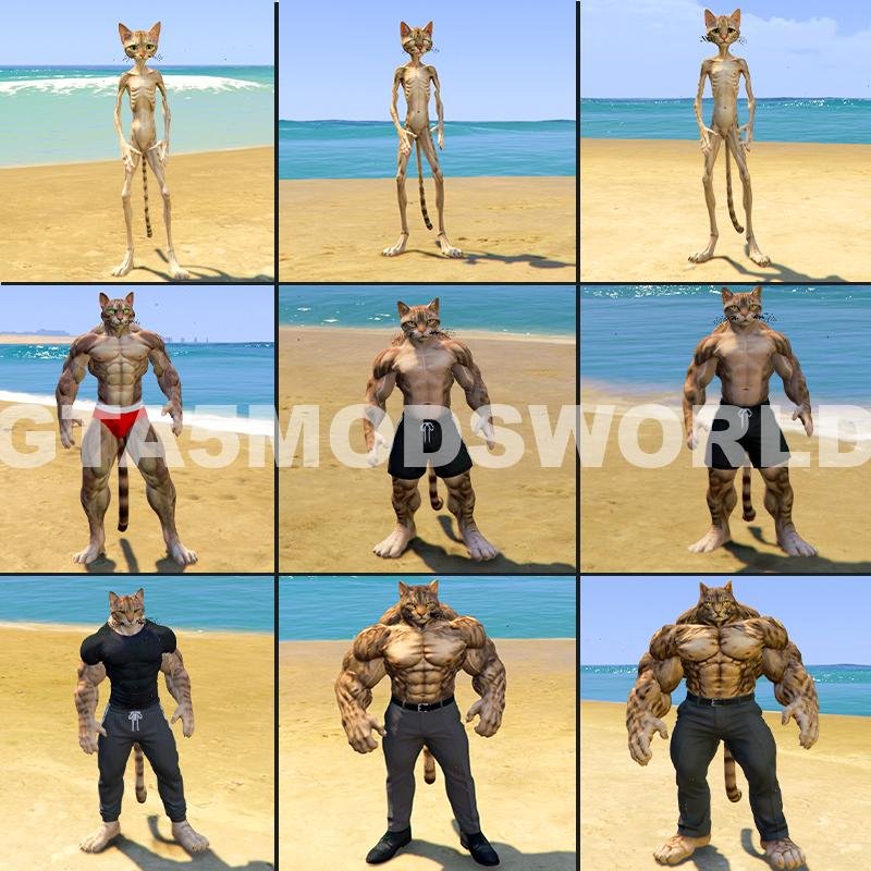 All Upgrading Weak To Strong Cat GTA 5 Mods (Pack Of 9 Peds)