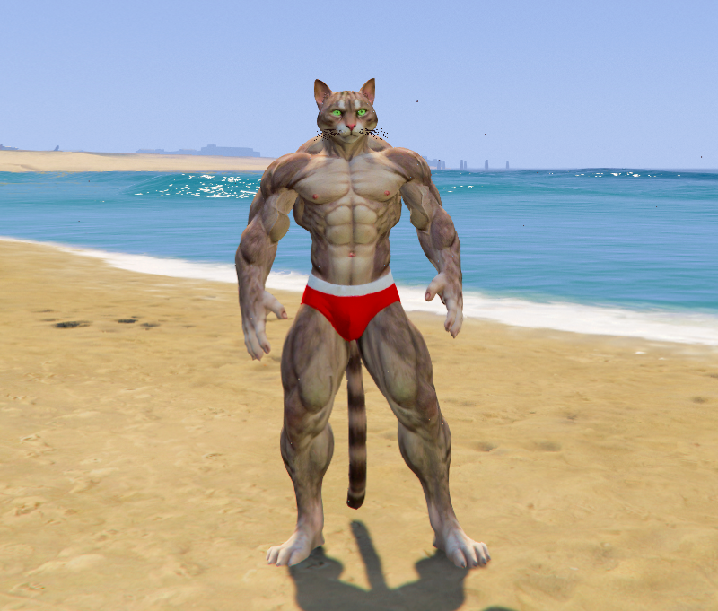 Upgrading Weak To Strong Cat 4 GTA 5 Mods