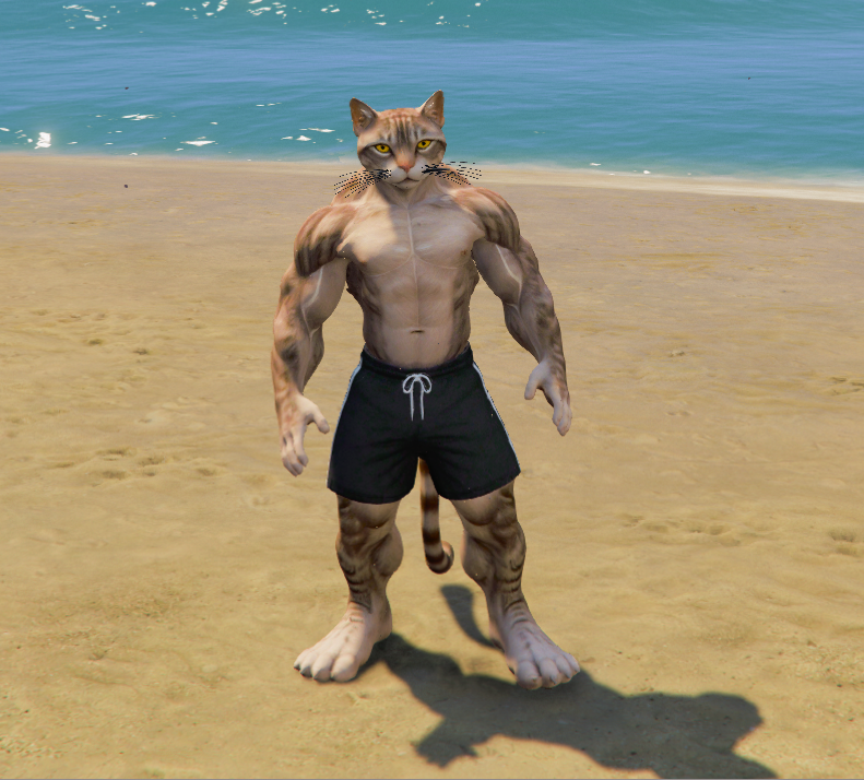 Upgrading Weak To Strong Cat 5 GTA 5 Mods