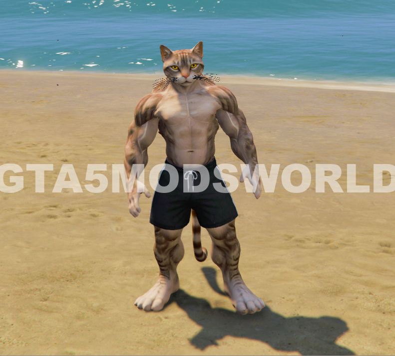Upgrading Weak To Strong Cat 5 GTA 5 Mods