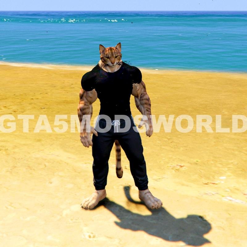 Upgrading Weak To Strong Cat 6 GTA 5 Mods