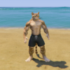 Upgrading Weak To Strong Cat 6 GTA 5 Mods
