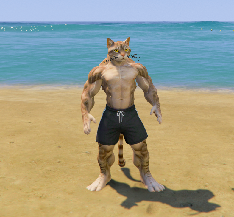Upgrading Weak To Strong Cat 6 GTA 5 Mods