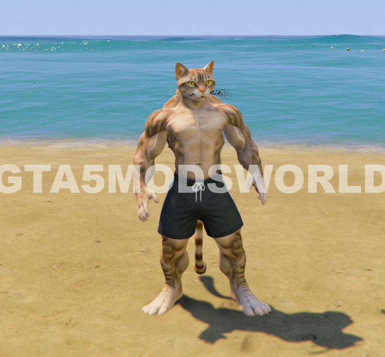 Upgrading Weak To Strong Cat 6 GTA 5 Mods