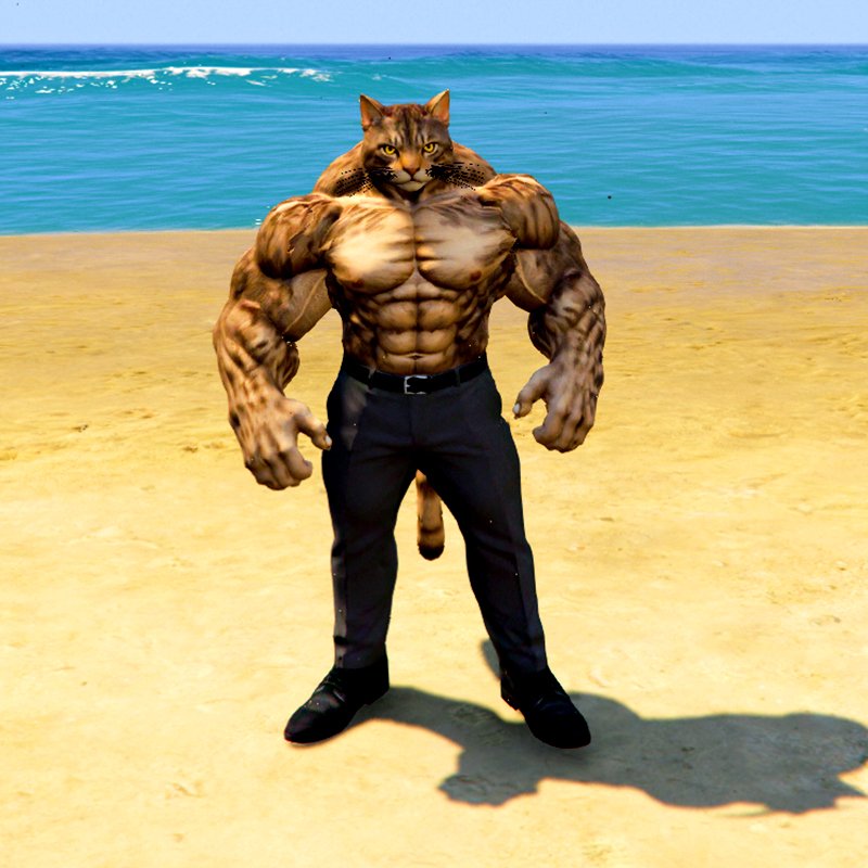 Upgrading Weak To Strong Cat 8 GTA 5 Mods