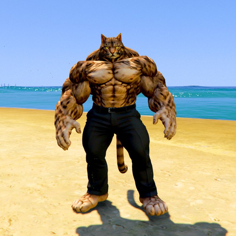 Upgrading Weak To Strong Cat 9 GTA 5 Mods