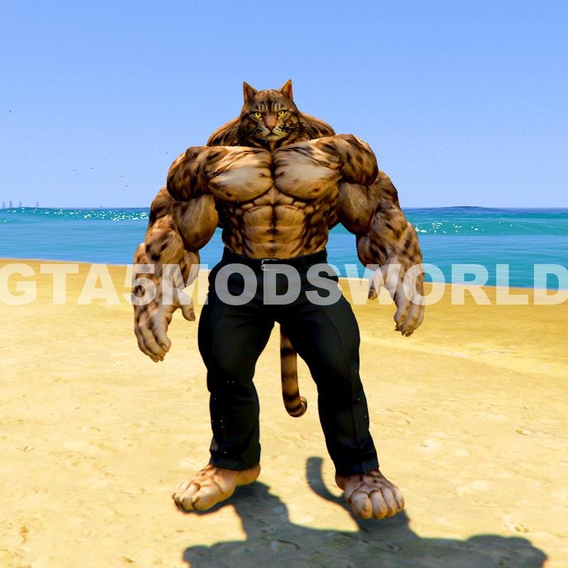 Upgrading Weak To Strong Cat 9 GTA 5 Mods