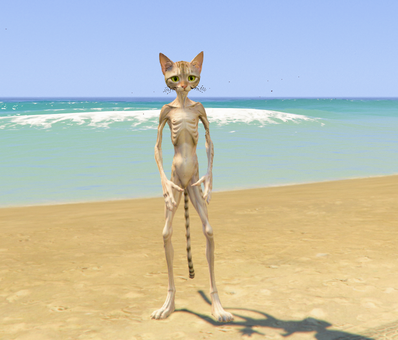 Upgrading Weak To Strong Cat GTA 5 Mods