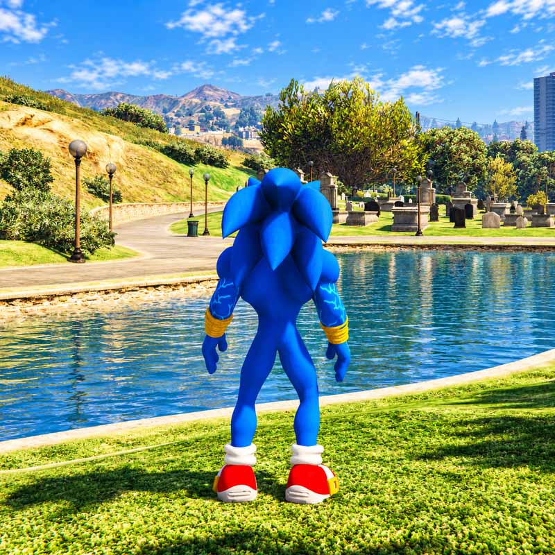 Strong Sonic the Hedgehog GTA5 MODS