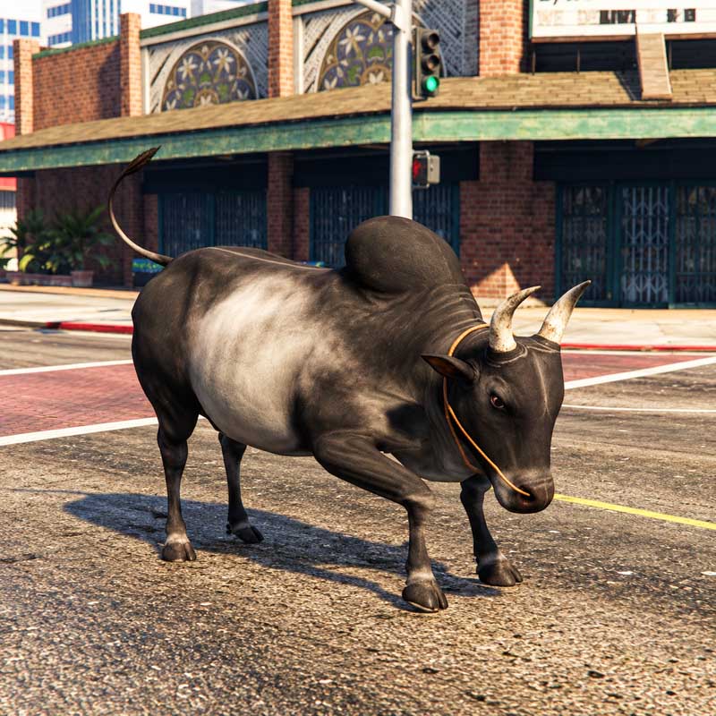 Zebu Bull Mod GTA5 MODS